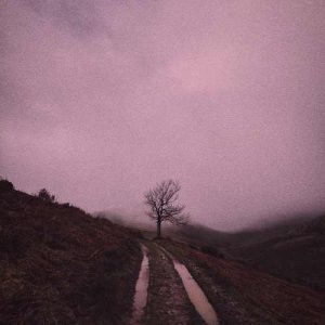 دانلود آهنگ مه دل امروز هوای کوه هاکرده